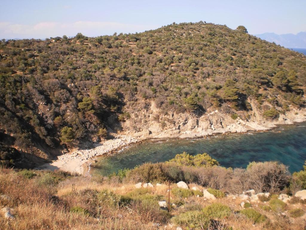 Vergina Pension Sarti Exteriér fotografie